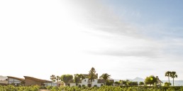 Save the date - AMANDA DREAMHUNTER - La Mas&iacute;a les Casotes